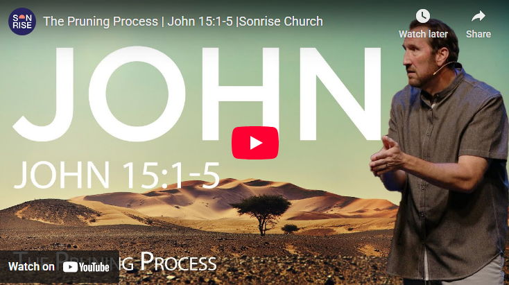 The Pruning Process | John 15:1-5