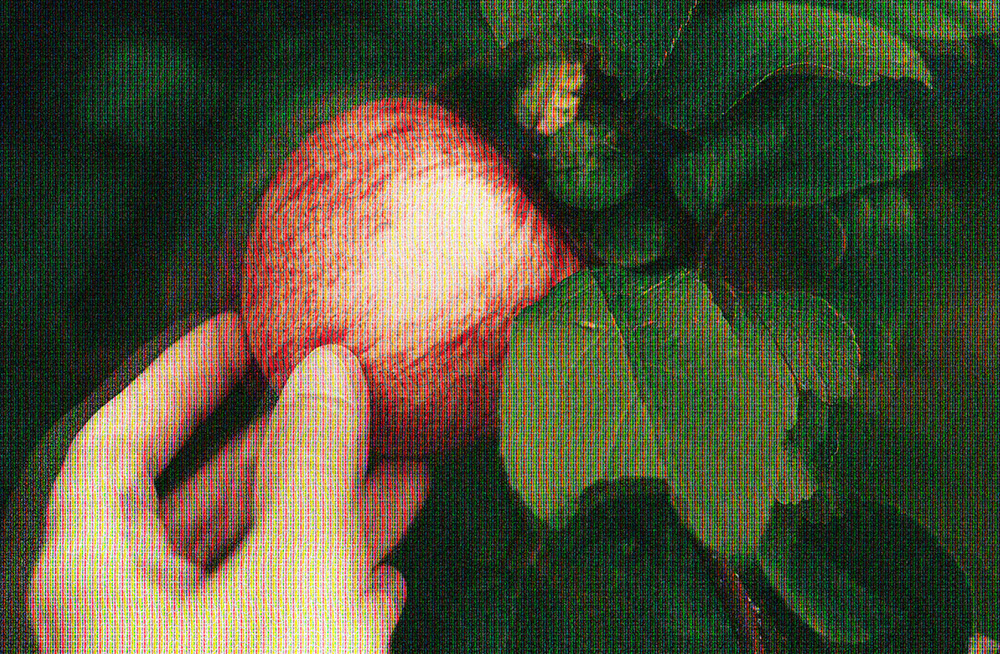 Sins of Material Commission