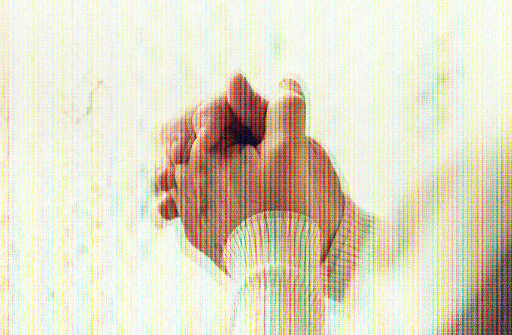 Comfort, Security & Control