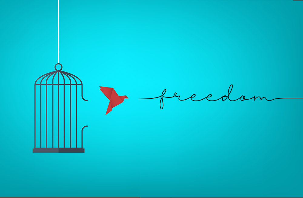 The Freedom of Contentment; Life of Grateful Joy