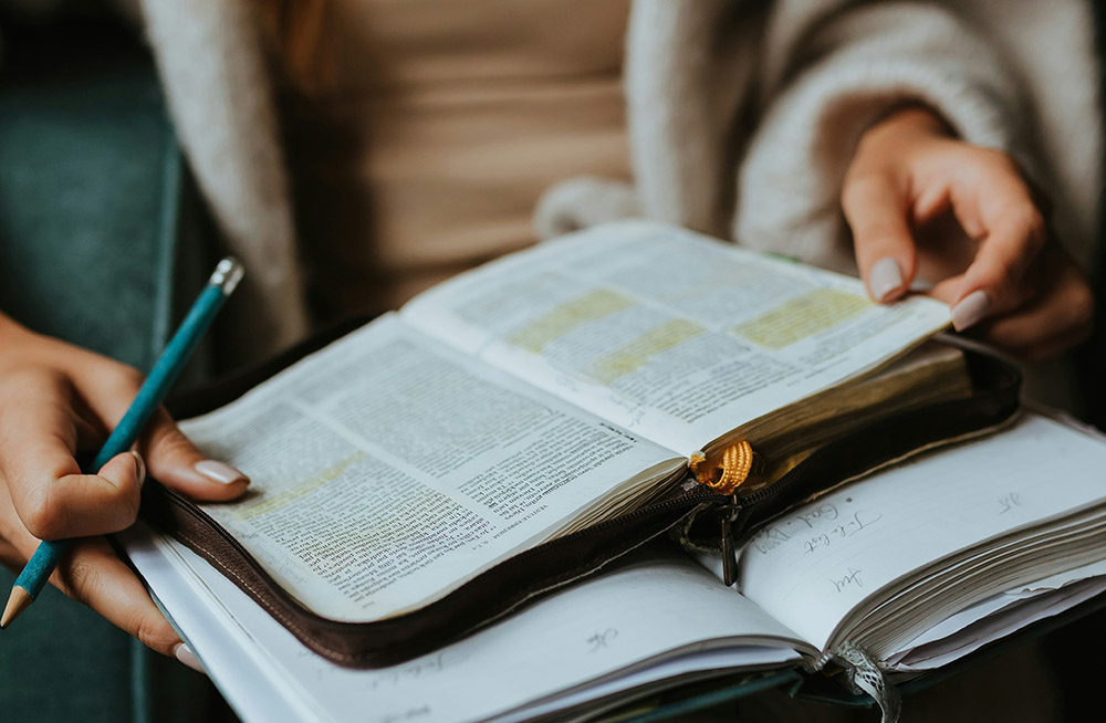 Lifeway: Bible Studies